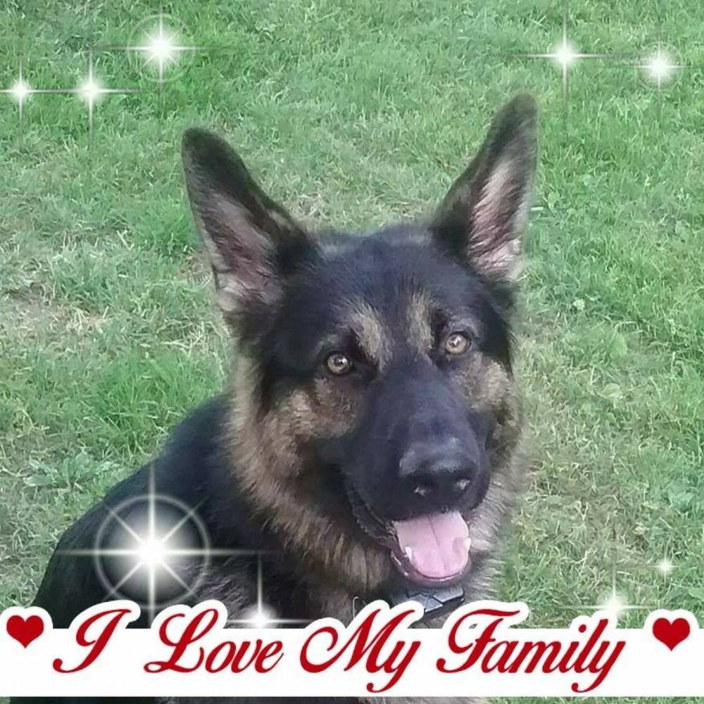 Meet your Posher, April